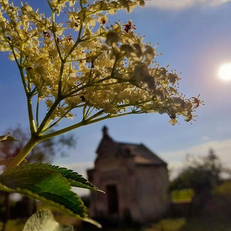 La Galuche Bed and Breakfast Angliers  Εξωτερικό φωτογραφία