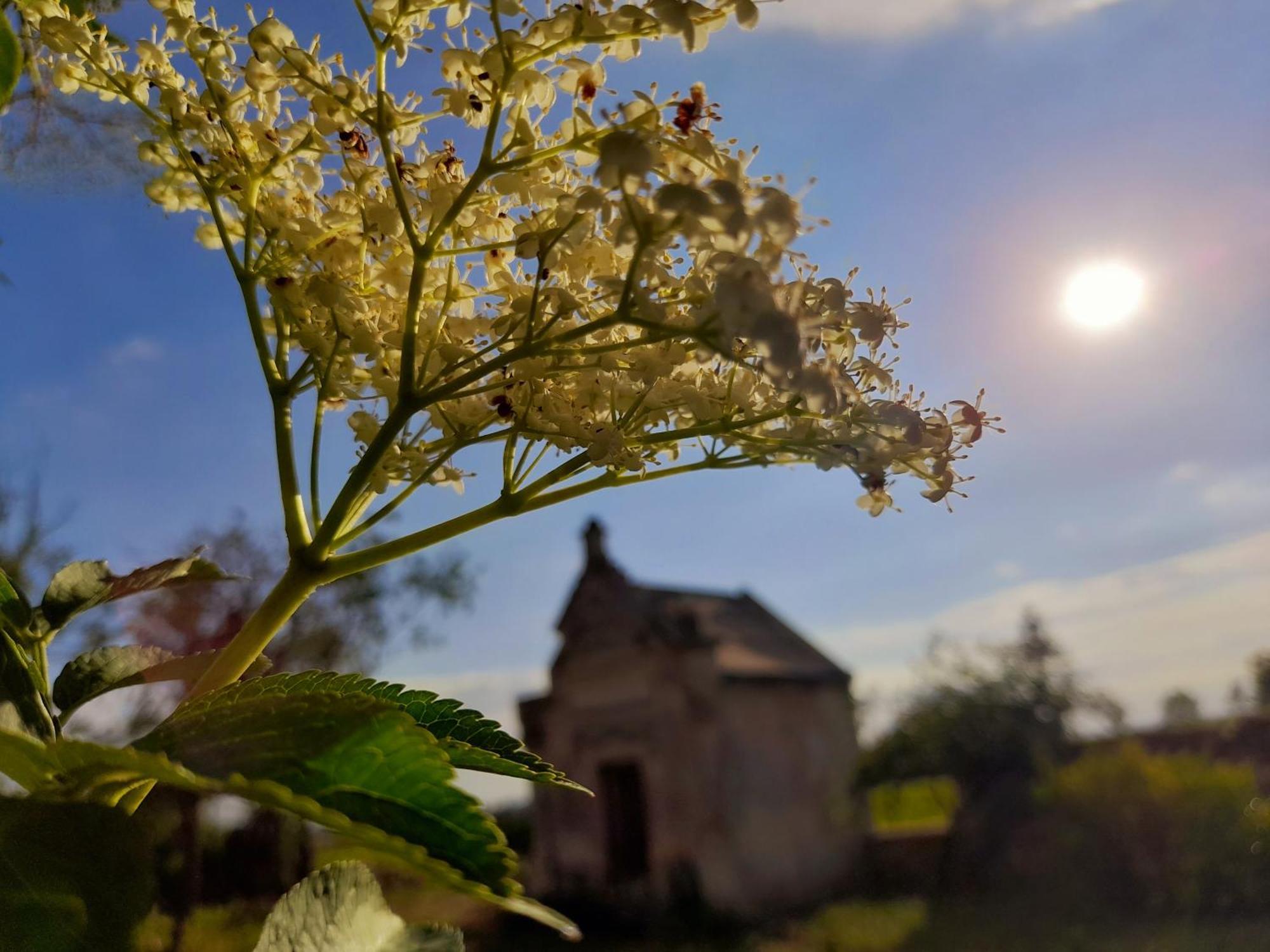 La Galuche Bed and Breakfast Angliers  Εξωτερικό φωτογραφία